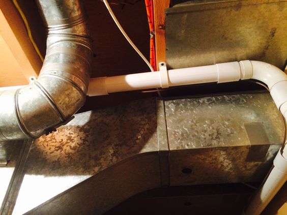 фотобанк (8)