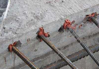 фотобанк (15)